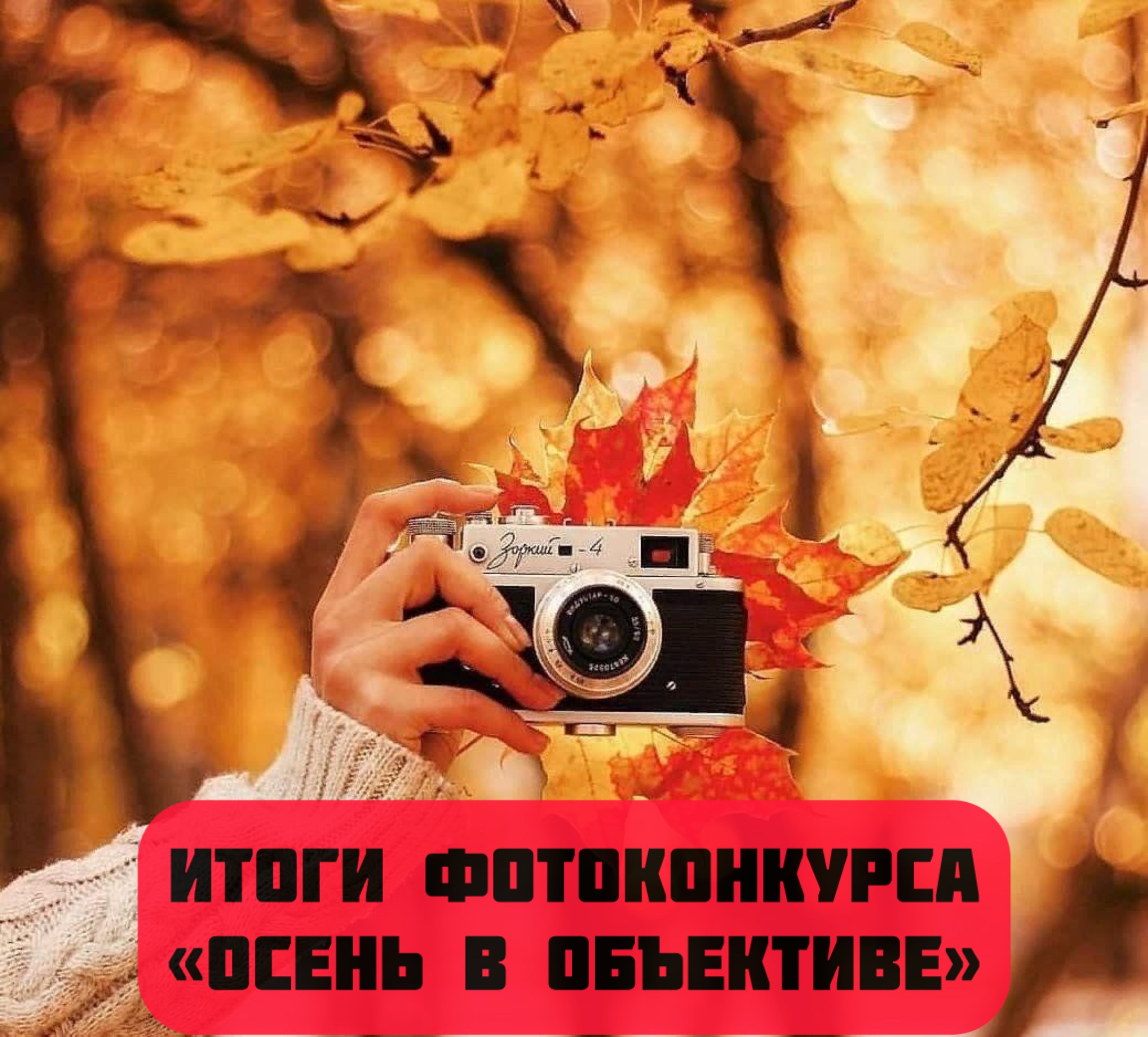 ФОТОКОНКУРС «Осень в объективе» ИТОГИ .