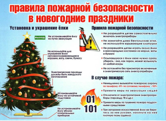 Правила пожарной безопасности при проведении Новогодних праздников‼.